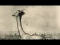 Download Lagu Rare Footage of All Tomorrows Mantelopes