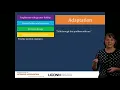 Math Course Module 8 Part 2