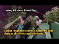 Lagu CAMPING HORROR ORANG INI MULAI KUMAT K3P4L4 HANTU DI SEDUH DENGAN 4IR P4N4S SAMPAI M4TENG 