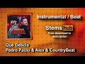 Que Delícia - Pedro Paulo & Alex & CountryBeat [Instrumental / Beat] * HQ Download
