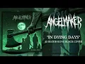 AngelMaker - In Dying Days (As Blood Runs Black Cover)