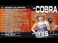 Download Lagu New Cobra Jarang Pulang Full Album