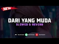 Download Lagu DJ Dari Yang Muda ( Slowed \u0026 Reverb ) 🎧