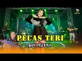 Dini Kurnia - PELAS TERI - Sunan Kendang ft Yoga (Official Music Video) - New Dhesta Musik