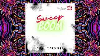 sweep boom