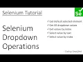 Selenium - 7 Selenium operations on Dropdown Get Values Select values