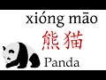 Download Lagu How To Say 'Panda' (熊猫) in Mandarin Chinese