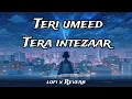 Lagu Teri Umeed Tera Intezar  lofi song  | Deewana | Rishi Kapoor, Divya Bharti | 90's Romantic Song