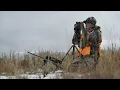 Rifle Mule Deer Hunt Utah Public Land
