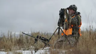 Rifle Mule Deer Hunt Utah Public Land