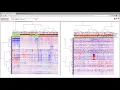 Brief demonstration of Next Generation Clustered Heat Map NG-CHM features 2019