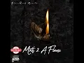 Moth 2 A Flame