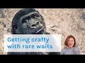 Which Queries are Causing my Wait Stats Dear SQL DBA Episode 44