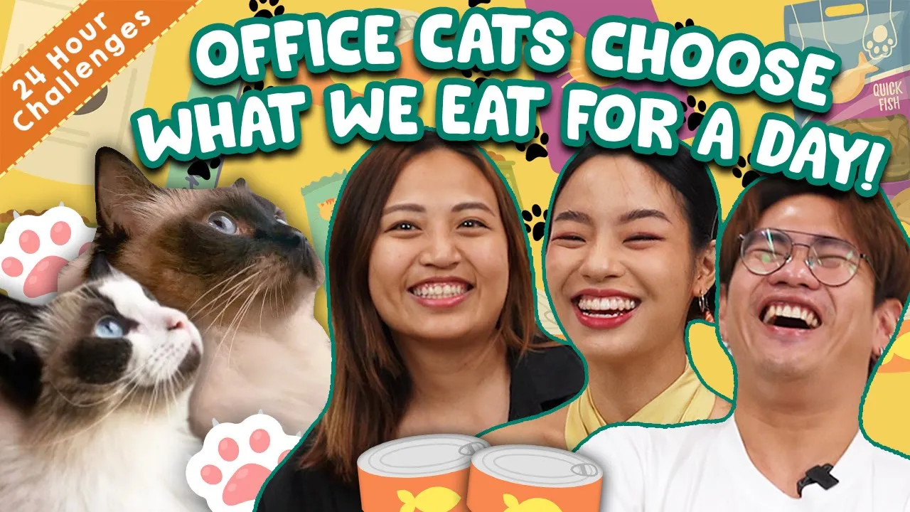 Our Office Cats Choose What We Eat For 24 Hours!   24 Hours Challenge   EP 15