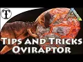 Fast Oviraptor Taming Guide Ark Survival Evolved Tips and Tricks