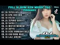 Download Lagu DJ FULL ALBUM YANG LAGI VIRAL TIKTOK SAAT INI - TETEG ATI x OPO ISEH ONO x HELLEH x TEPUNG KANJI