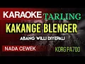 Download Lagu KAKANGE BLENGER ( KARAOKE TARLING 2024 VERSI RAMPAK NADA CEWEK )