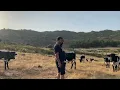 Download Lagu Un ratin que estuvimos el otro día antes de marchar a Oviedo. 