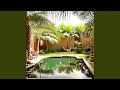 Serene Tranquility in Peaceful Oasis