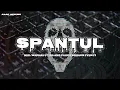 SPANTUL - NIEL WADHAH FT GILANG FAUZI (BREAKS FVNKY)