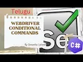 2024 Part 10 Selenium WebDriver Conditional Commands