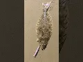 Download Lagu 4 tips in 13 seconds to help YOU catch surf HALIBUT