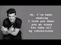 Download Lagu Shawn Mendes - There's Nothing Holding' Me Back LYRICS