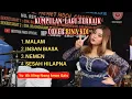 Kumpulan Terbaik Lagu Cover Rina KDI (LIVE SHOW Ciwaru Cijulang Pangandaran)