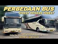 Perbedaan Bus Pariwisata Kapasitas 45seat dengan Bus 55seat #sewabuspariwisata #sewabusjakarta 