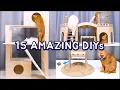 15 Amazing DIY Ideas for Your Cat