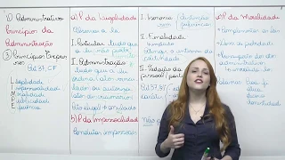 Direito Administrativo - Princípios da Administração - Parte 01