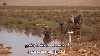 شيلة سقم المعاشير كلمات نايف التنيب اداء يوسف العنزي موسم 2021 2022 