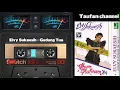 Download Lagu Gedung tua - Elvy Sukaesih