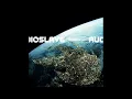 Revelations /  Audioslave