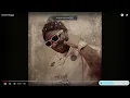 Wizz Havinn - Street N*gga (FAST)