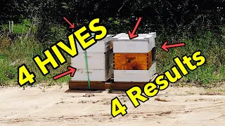 Download 4 HIVES 4 RESULTS | New Location | Between HONEY Flows | Pollination Bees MP3