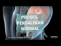 Download Lagu PROSES PERSALINAN NORMAL