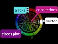 How to read a circos plot