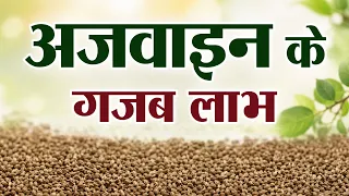 किचन का करामाती मसाला अजवाइन | Ajwain: The Kitchen's Wonder Spice | Kitchen Therapy & Naturopathy
