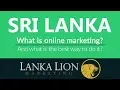 Online Digital Web Marketing in Sri Lanka Free SEO Analysis Report Lanka Lion Marketing