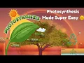 Photosynthesis Learning s for kids easy plant science educational s for kids Fun
