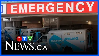 Temporary Foreign Workers Fill Real Gaps In A Very Overstretched System ER Doctor 