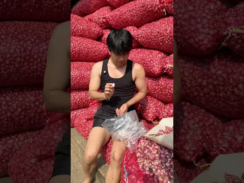 DAY 1 KERJA JADI PENGUPAS BAWANG