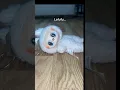 Download Lagu The Labubu vs the Lafufu! 😳🤣 #labubu #lafufu #trend