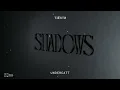 Download Lagu Tiësto \u0026 Undercatt - Shadows (Official Audio)