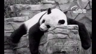 حالات واتس اب اه من الدنيا 