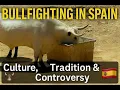 Lagu Bullfighting in Spain 🇪🇸 | Visit to Ronda’s Fighting Bull Ranch