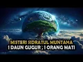Download Lagu Misteri Pohon Sidratul Muntaha ! Satu Daun Gugur, Satu Orang Akan Mati || Sejarah Islam