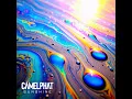 Sunshine - CAMELPHAT