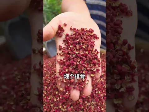 适合炖肉的陕西大红袍花椒来啦! #花椒 #陕北霞姐 #food